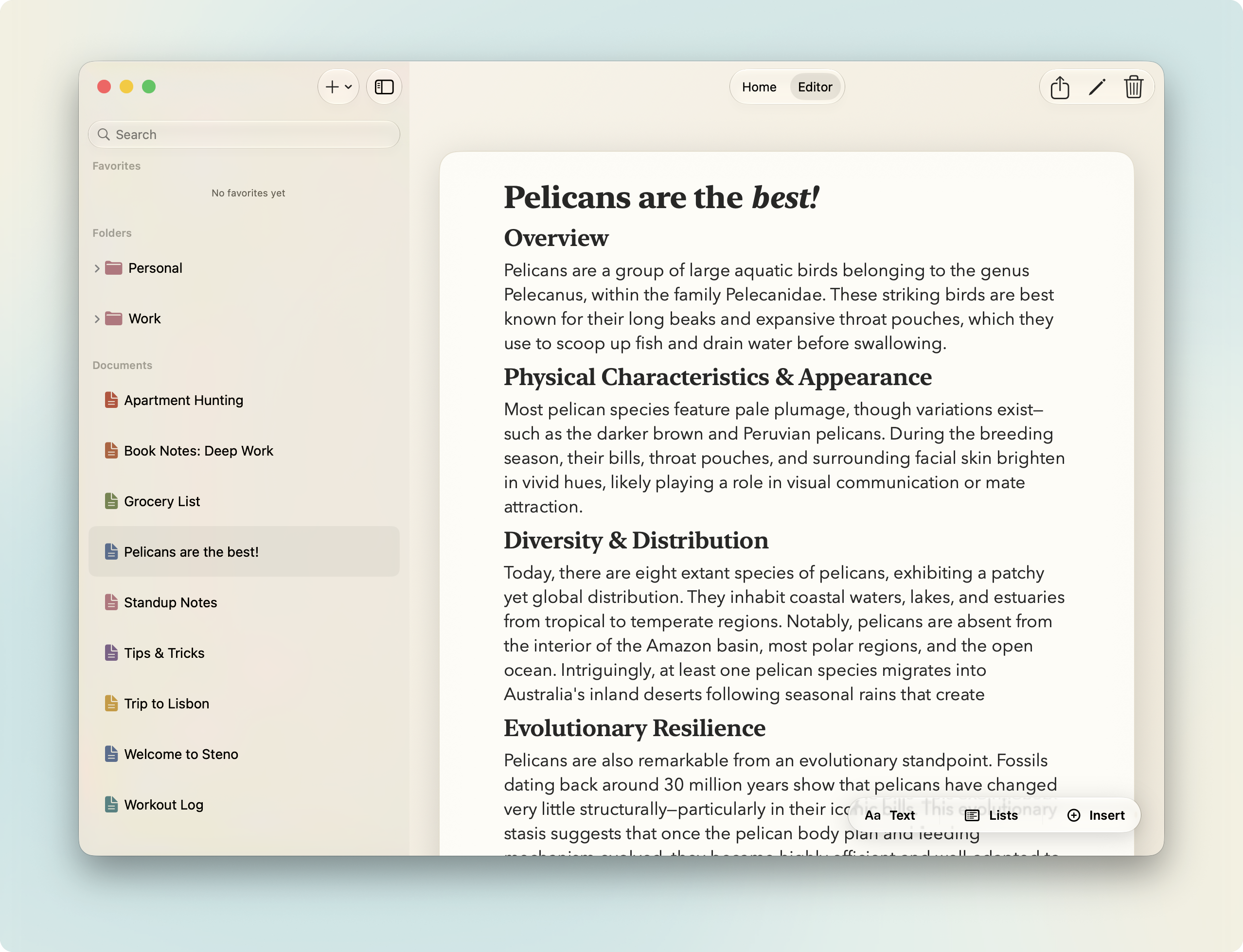 Steno editor screenshot